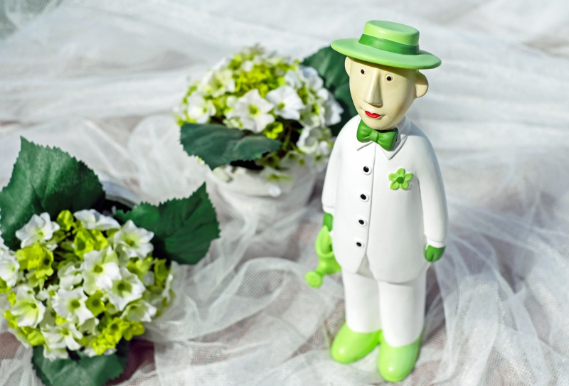 boutique-ENTRECASTEAUX-min_man-person-flower-green-toy-fig-546529-pxhere.com